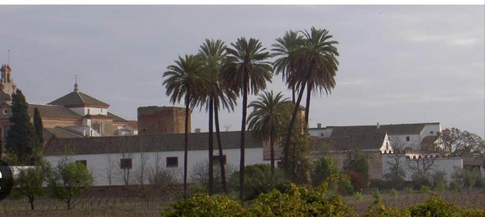 Apartamento Turistico Damajuana Parking Free Espartinas Εξωτερικό φωτογραφία